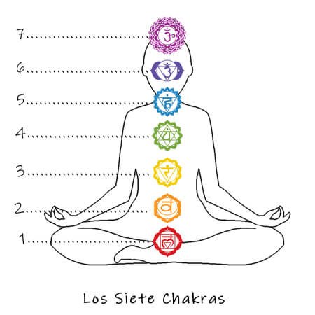 450 x 450 7 Chakras los siete chakras