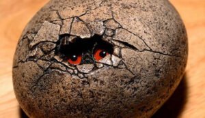 La Soledad del Ave Sin Plumas