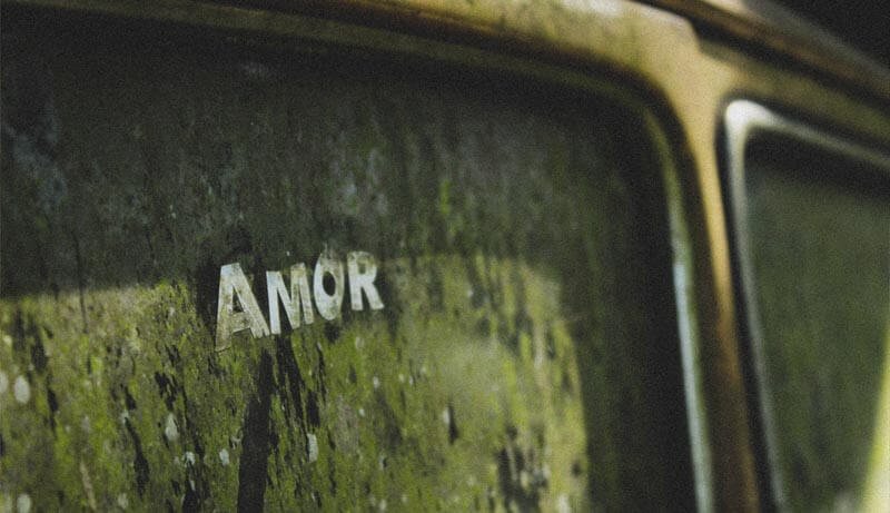 AMAR, LO QUE SEA