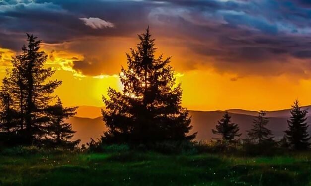 Antes de que termine el año