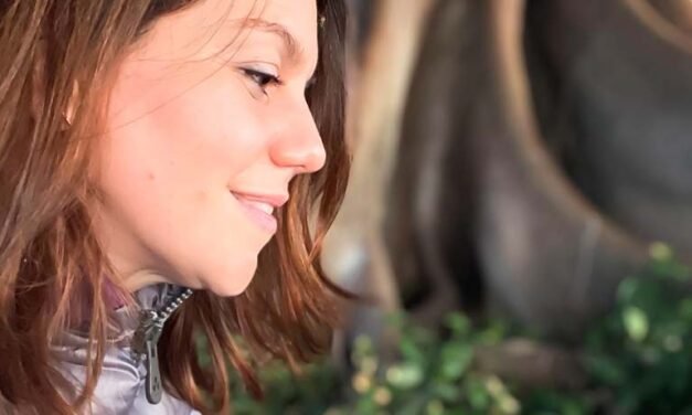 EL VALOR DE LOS VALORES