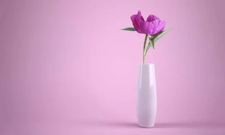 Merecimiento o Merecer