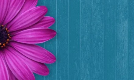 ¡Gracias porque gozo de salud y energía!