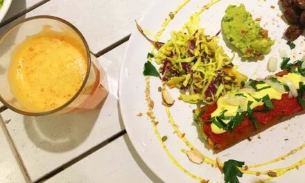 NUTRICION, DIGESTION Y ROL DE LOS ALIMENTOS