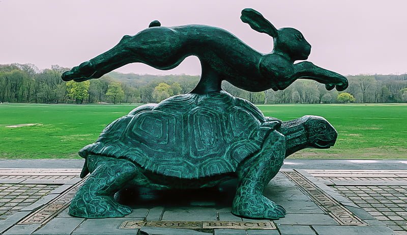 LIEBRE, TORTUGA Y YOGA