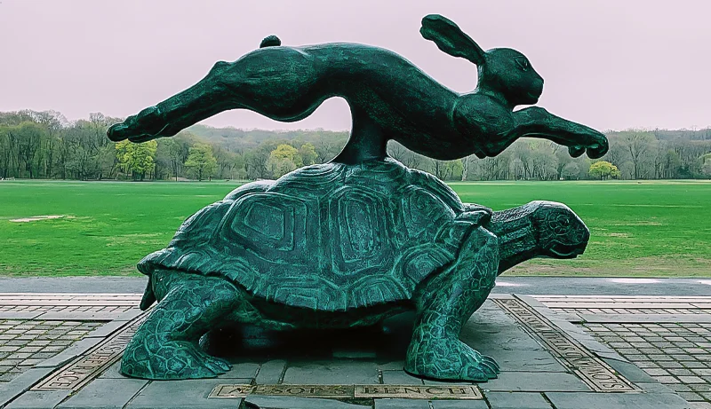LIEBRE, TORTUGA Y YOGA
