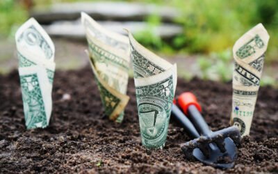 Invertir para principiantes: cómo empezar