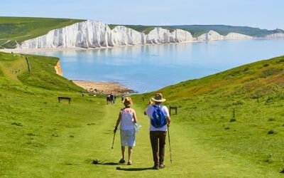 Ahorro para la jubilación: IRA tradicional vs. Roth