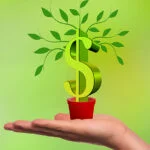 Comprender el mercado de valores: una guía para principiantes