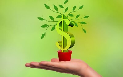 Comprender el mercado de valores: una guía para principiantes
