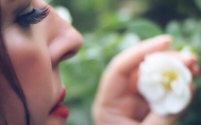 PRIMAVERA: ENFOQUE Y CONCENTRACIÓN