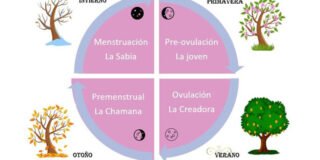 Las mujeres somos cíclicas